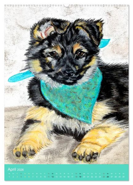 Produktbild: Hunde - Bezaubernde Portraitzeichnungen (Wandkalender 2026 DIN A2 hoch), CALVENDO Monatskalender