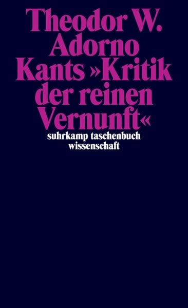 Produktbild: Nachgelassene Schriften. Abteilung IV: Vorlesungen
