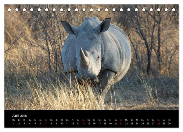 Produktbild: Naturerlebnis Botswana (Tischkalender 2026 DIN A5 quer), CALVENDO Monatskalender