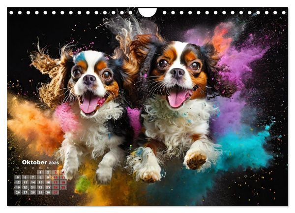 Produktbild: Holi Pulver - Doppelte Action (Wandkalender 2026 DIN A4 quer), CALVENDO Monatskalender