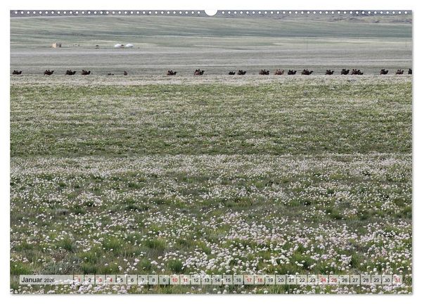 Produktbild: Nord-Gobi (Wandkalender 2026 DIN A2 quer), CALVENDO Monatskalender