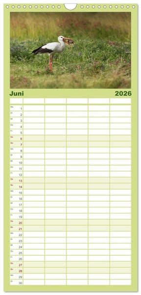 Produktbild: Familienplaner 2026 - Das faszinierende Reich der V&ouml;gel mit 5 Spalten (Wandkalender, 21 x 45 cm) CALVENDO