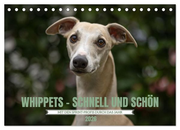 WHIPPETS - SCHNELL UND SCHÖN (Tischkalender 2026 DIN A5 quer), CALVENDO Monatskalender