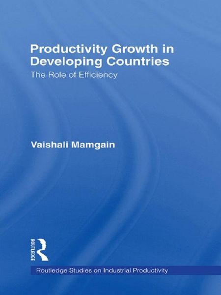 Produktbild: Productivity Growth in Developing Countries