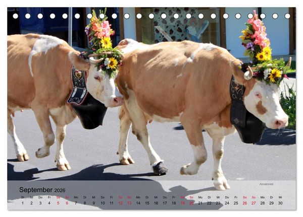 Produktbild: Saanenland. Ein Kalender aus dem Berner Oberland (Tischkalender 2026 DIN A5 quer), CALVENDO Monatskalender