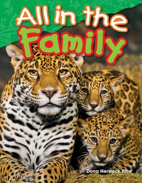 Produktbild: All in the Family