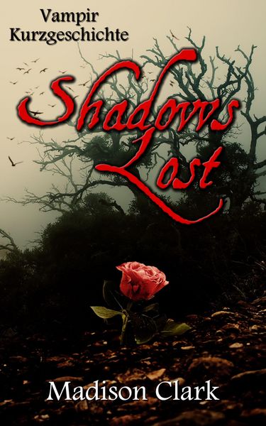 Produktbild: Shadows Lost