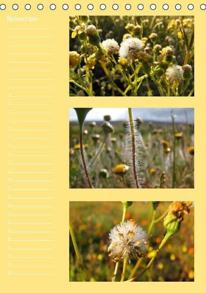 Produktbild: Zauberwelt der Blumen - Eiskristalle & Wasserperlen / Geburtstagskalender (Tischkalender immerw&auml;hrend DIN A5 hoch)