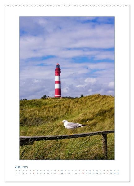 Produktbild: Insel Amrum - Friesische Impressionen (hochwertiger Premium Wandkalender 2027 DIN A2 hoch), Kunstdruck in Hochglanz