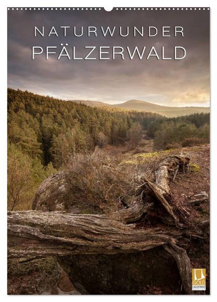 Produktbild: NATURWUNDER PF&Auml;LZERWALD (Wandkalender 2026 DIN A2 hoch), CALVENDO Monatskalender