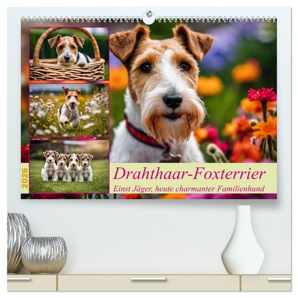 Produktbild: Drahthaar-Foxterrier (hochwertiger Premium Wandkalender 2026 DIN A2 quer), Kunstdruck in Hochglanz