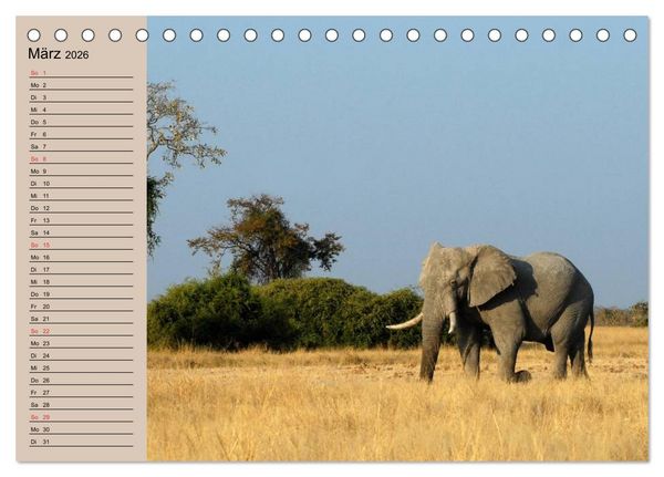 Produktbild: Elefanten. Sensible R&uuml;sseltiere (Tischkalender 2026 DIN A5 quer), CALVENDO Monatskalender