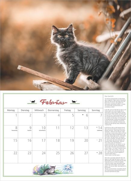 Produktbild: DuMonts Katzen Kalender 2027