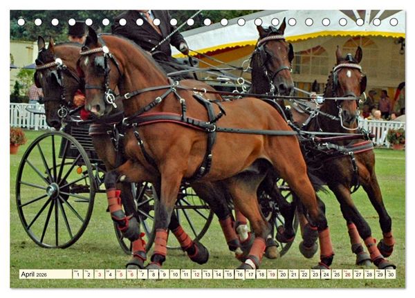 Produktbild: Four-in-hand Driving Challenge (Desk Calendar 2026 DIN A5 landscape), CALVENDO 12 Month DeskCalendar