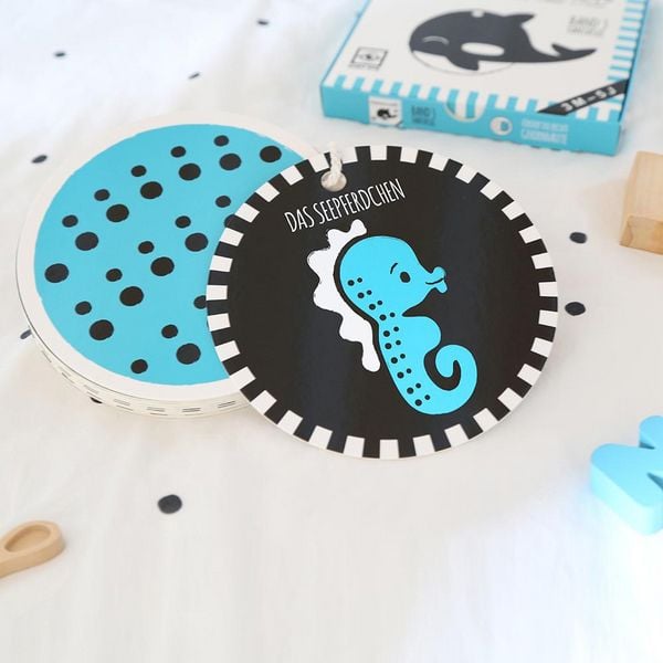 BABY EYE Kontrastkarten für Babys und Kinder: Band 3 – Fantasie · Entwicklungsbegleiter für kleine Forscher: 24 Bilder, 12 Muster · Schwarz-Weiß und P