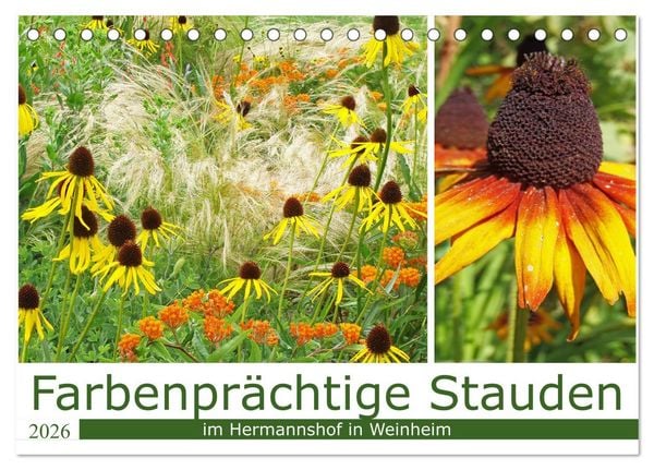 Farbenprächtige Stauden im Hermannshof in Weinheim (Tischkalender 2026 DIN A5 quer), CALVENDO Monatskalender