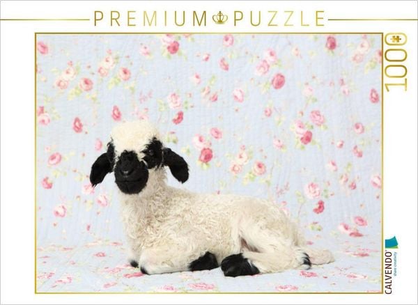 CALVENDO Puzzle Walliser Schwarznasenschaf | 1000 Teile Lege-Größe 64x48cm Foto-Puzzle für glückliche Stunden