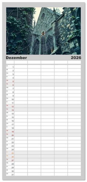 Produktbild: Familienplaner 2026 - Schattenkuss - Tiere in den Armen der Nacht mit 5 Spalten (Wandkalender, 21 x 45 cm) CALVENDO