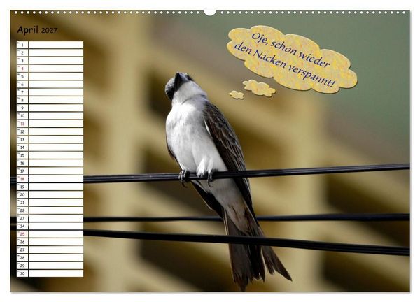 Produktbild: Wenn Tiere Sprechen k&ouml;nnten! Der lustige Spr&uuml;che Geburtstagskalender (Wandkalender 2027 DIN A2 quer), CALVENDO Monatskalender