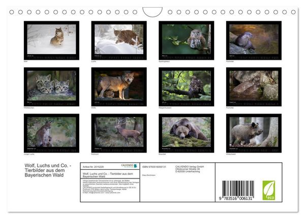 Produktbild: Wolf, Luchs und Co. - Tierbilder aus dem Bayerischen Wald (Wandkalender 2026 DIN A4 quer), CALVENDO Monatskalender