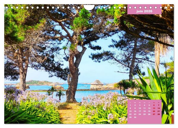 Produktbild: Br&eacute;hat dans tous ses &eacute;tats (Calendrier mural 2026 DIN A4 vertical), CALVENDO calendrier mensuel