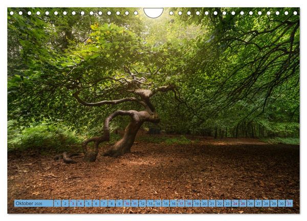 Produktbild: Sehnsucht R&uuml;gen (Wandkalender 2026 DIN A4 quer), CALVENDO Monatskalender
