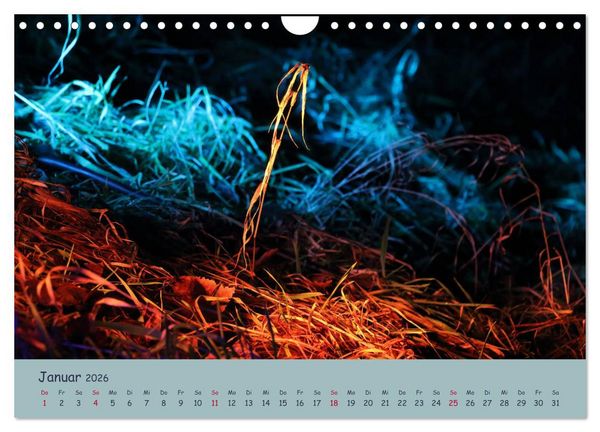 Produktbild: Leuchtfarben (Wandkalender 2026 DIN A4 quer), CALVENDO Monatskalender