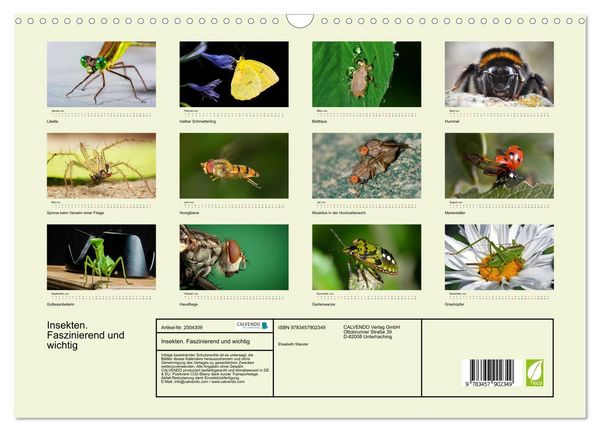 Produktbild: Insekten. Faszinierend und wichtig (Wandkalender 2026 DIN A3 quer), CALVENDO Monatskalender