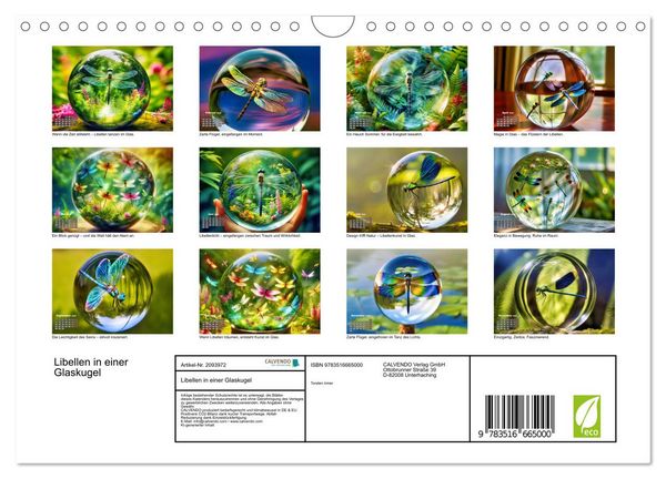 Produktbild: Libellen in einer Glaskugel (Wandkalender 2026 DIN A4 quer), CALVENDO Monatskalender