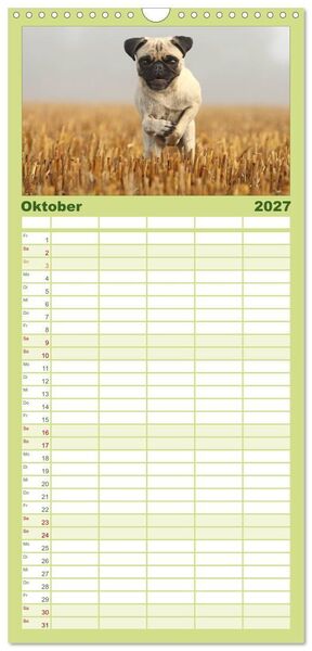 Produktbild: Familienplaner 2027 - Der MOPS-Kalender mit 5 Spalten (Wandkalender, 21 x 45 cm) CALVENDO