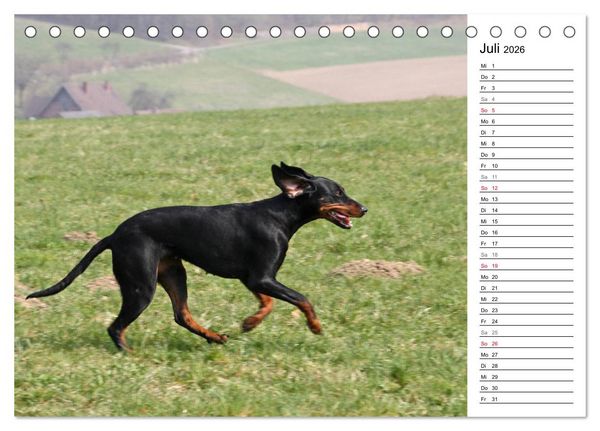 Produktbild: Der Brandlbracken-Terminplaner (Tischkalender 2026 DIN A5 quer), CALVENDO Monatskalender