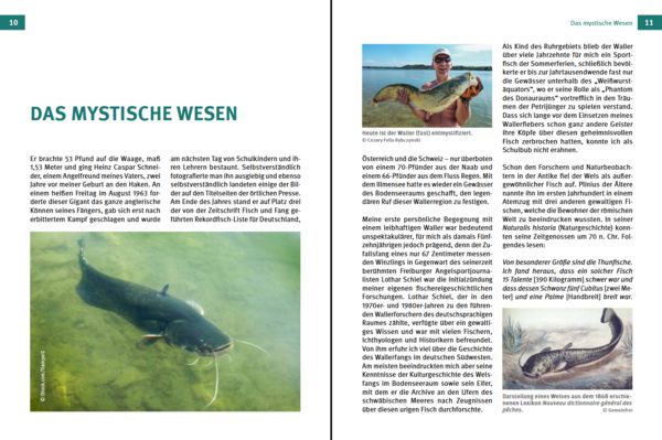 Produktbild: Welse - Giganten unserer Gew&auml;sser