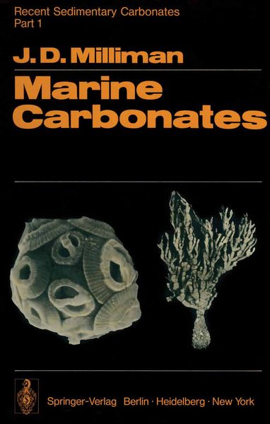 Produktbild: Recent Sedimentary Carbonates