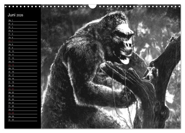 Produktbild: Kultfilme - schwarz-wei&szlig;e Klassiker (Wandkalender 2026 DIN A3 quer), CALVENDO Monatskalender