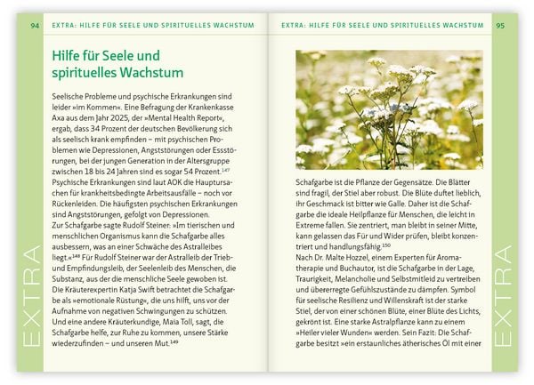 Produktbild: Die Schafgarbe &ndash; Allesk&ouml;nnerin unter den Heilpflanzen