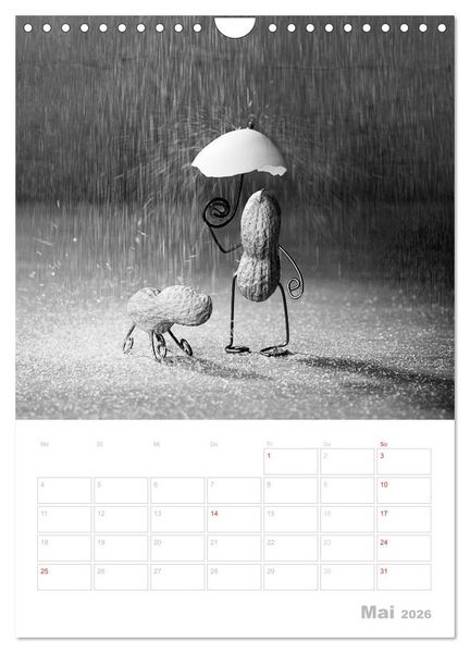 Produktbild: Simple Things 2026 (Wandkalender 2026 DIN A4 hoch), CALVENDO Monatskalender