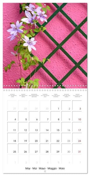 Produktbild: Leaves and flowers of Burano (Wall Calendar 2026 12 &times; 12 Inch) CALVENDO 12 Month Wall Calendar