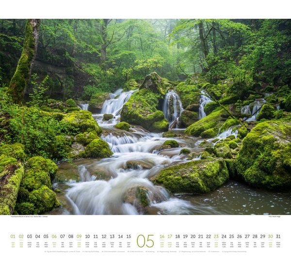 Produktbild: Wald Kalender 2027