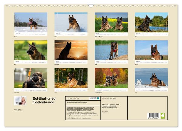 Produktbild: Sch&auml;ferhunde Seelenhunde (Wandkalender 2026 DIN A2 quer), CALVENDO Monatskalender