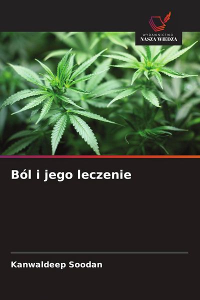 Produktbild: B&oacute;l i jego leczenie
