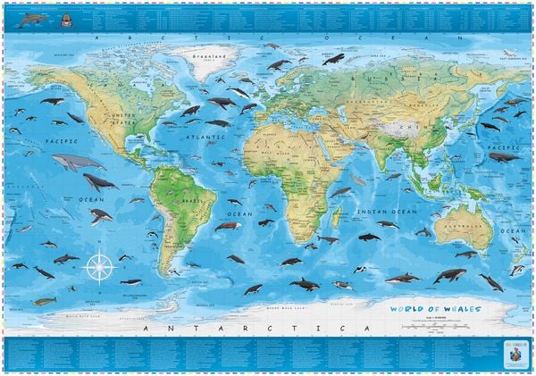 Produktbild: COLUMBUS Kinderweltkarte Welt der Wale