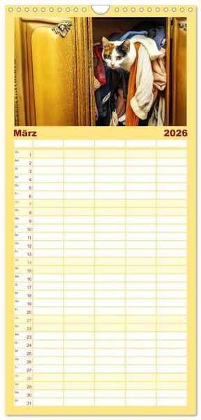 Produktbild: Familienplaner 2026 - Momente eines Katzenbesitzers - Chaos der Samtpfoten mit 5 Spalten (Wandkalender, 21 x 45 cm) CALVENDO