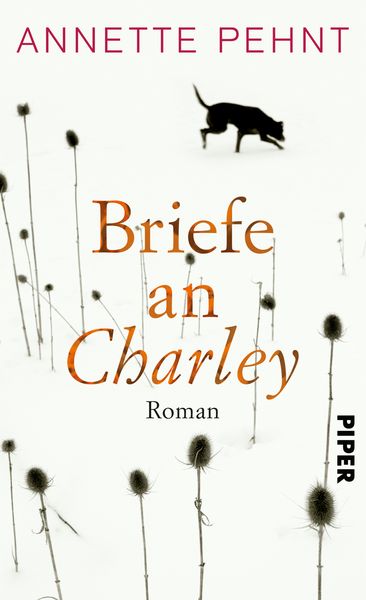 Briefe an Charley, Gebundene Ausgabe von Annette Pehnt, Piper, 9783492057288