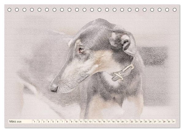 Produktbild: Windhunde 2026 (Tischkalender 2026 DIN A5 quer), CALVENDO Monatskalender