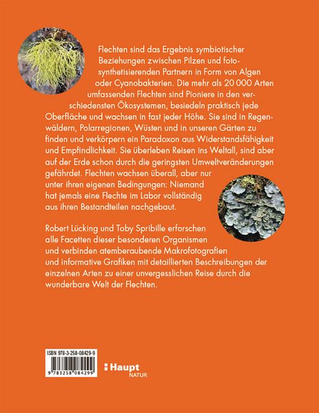 Produktbild: Flechten