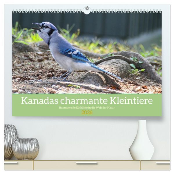 Produktbild: Kanadas charmante Kleintiere - Bezaubernde Einblicke in die Natur (hochwertiger Premium Wandkalender 2026 DIN A2 quer), Kunstdruck in Hochglanz