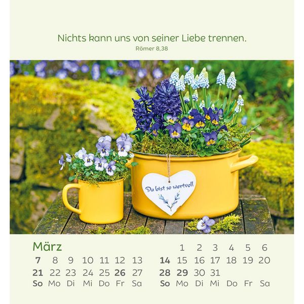 Produktbild: Kleine Blumengr&uuml;&szlig;e 2027