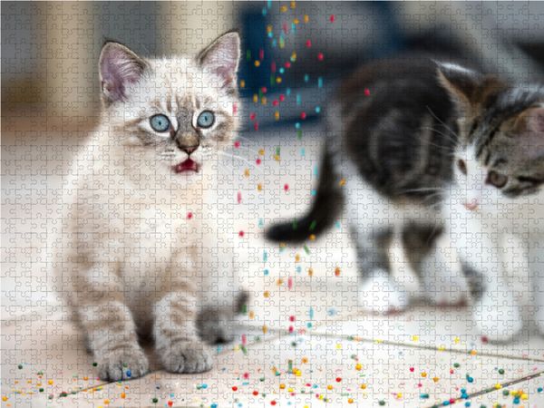 Produktbild: CALVENDO Puzzle Huuuch... 1000 Teile Lege-Gr&ouml;&szlig;e 64 x 48 cm Foto-Puzzle Bild von Christiane Calmbacher