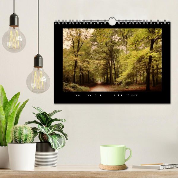 Produktbild: Der Reichswald bei Kleve (Wandkalender 2026 DIN A4 quer), CALVENDO Monatskalender