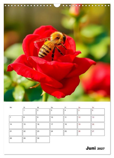 Produktbild: Die leisen Stimmen der Tiere (Wandkalender 2027 DIN A3 hoch), CALVENDO Monatskalender